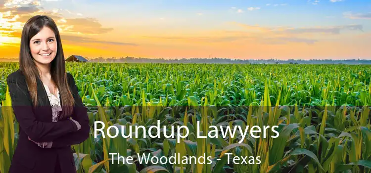 Roundup Lawyers The Woodlands - Texas