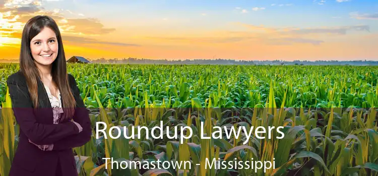 Roundup Lawyers Thomastown - Mississippi