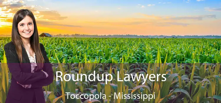 Roundup Lawyers Toccopola - Mississippi