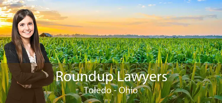 Roundup Lawyers Toledo - Ohio