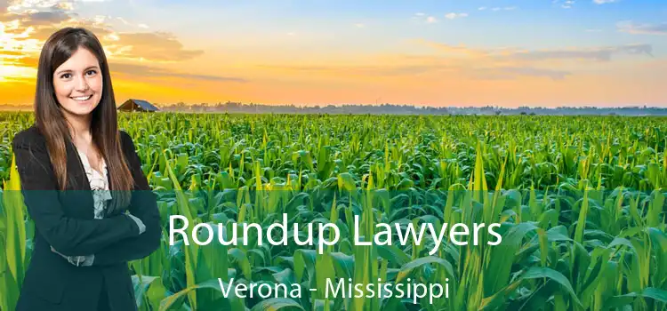 Roundup Lawyers Verona - Mississippi