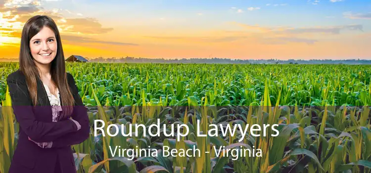 Roundup Lawyers Virginia Beach - Virginia