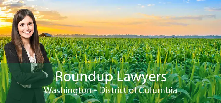 Roundup Lawyers Washington - District of Columbia
