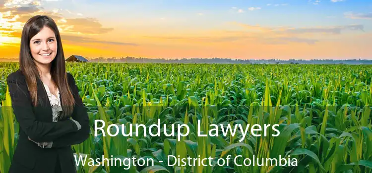 Roundup Lawyers Washington - District of Columbia