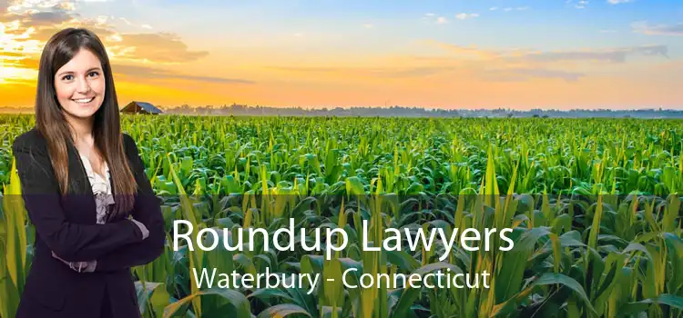 Roundup Lawyers Waterbury - Connecticut