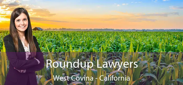 Roundup Lawyers West Covina - California