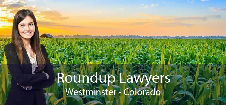 Roundup Lawyers Westminster - Colorado