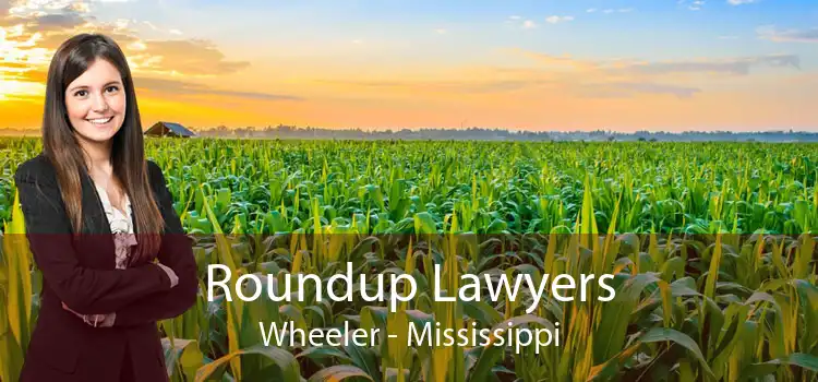 Roundup Lawyers Wheeler - Mississippi