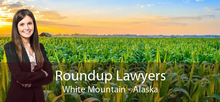 Roundup Lawyers White Mountain - Alaska