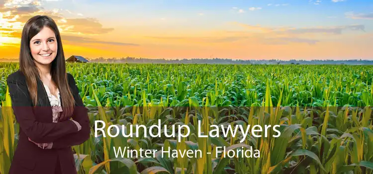 Roundup Lawyers Winter Haven - Florida