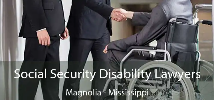 Social Security Disability Lawyers Magnolia - Mississippi