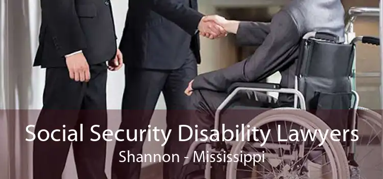 Social Security Disability Lawyers Shannon - Mississippi